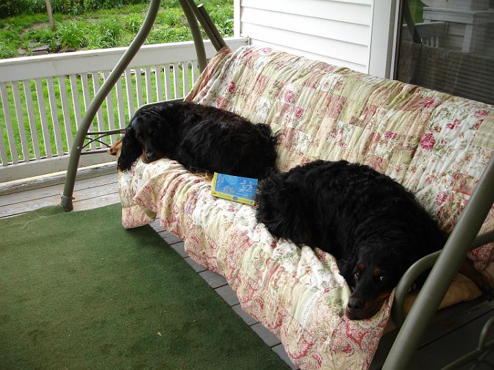 crgordons_34.jpg - Jazzy and Heidi relaxing on the porch swing.