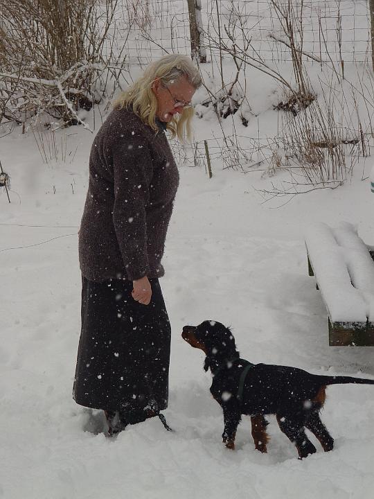 crgordons_16.jpg - This was Jazzy's first snow; she enjoyed exploring and playing in the snow.