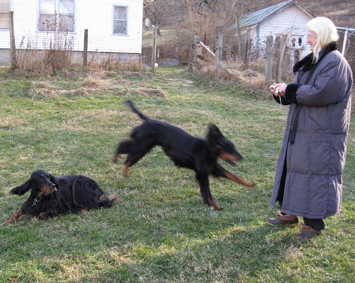 crgordons_44.jpg - Oliver jumping over Jazzy while Cheryl watches.