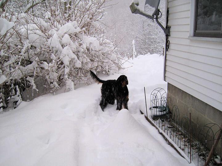 crgordons_068.jpg - Oliver in his first big snow.