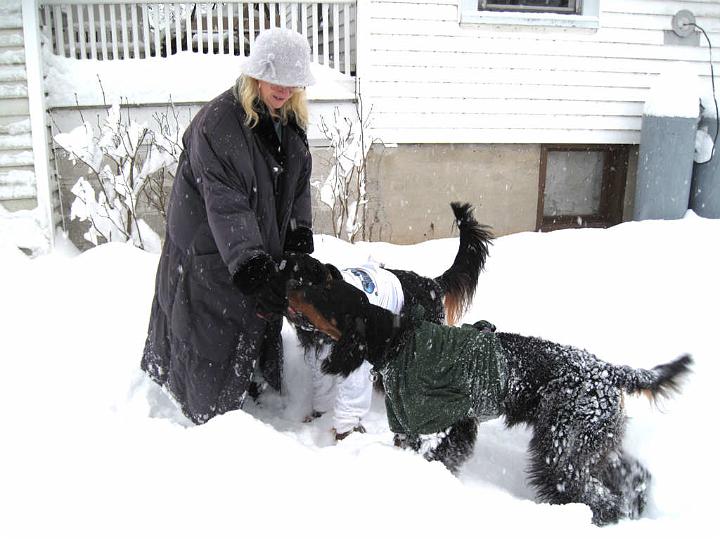 crgordons_072.jpg - Jazzy, in the white t-shirt, and Oliver, in the green t-shirt, giving a winter snow fashion show in their t-shirt snow suits. (Best in Show ?)