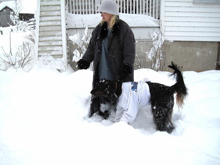 crgordons_074.jpg - Jazzy giving a side profile of her t-shirt snow suit.